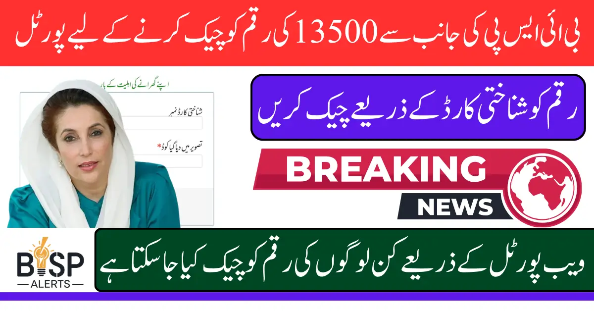 BISP 8171 Portal 2025 Check Eligibility New Criteria Revealed For Registered Women